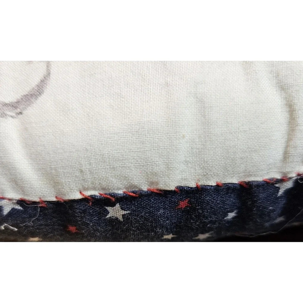 Pair of Handmade Faded Patriotic Pillows Antique Style Scenes (read)